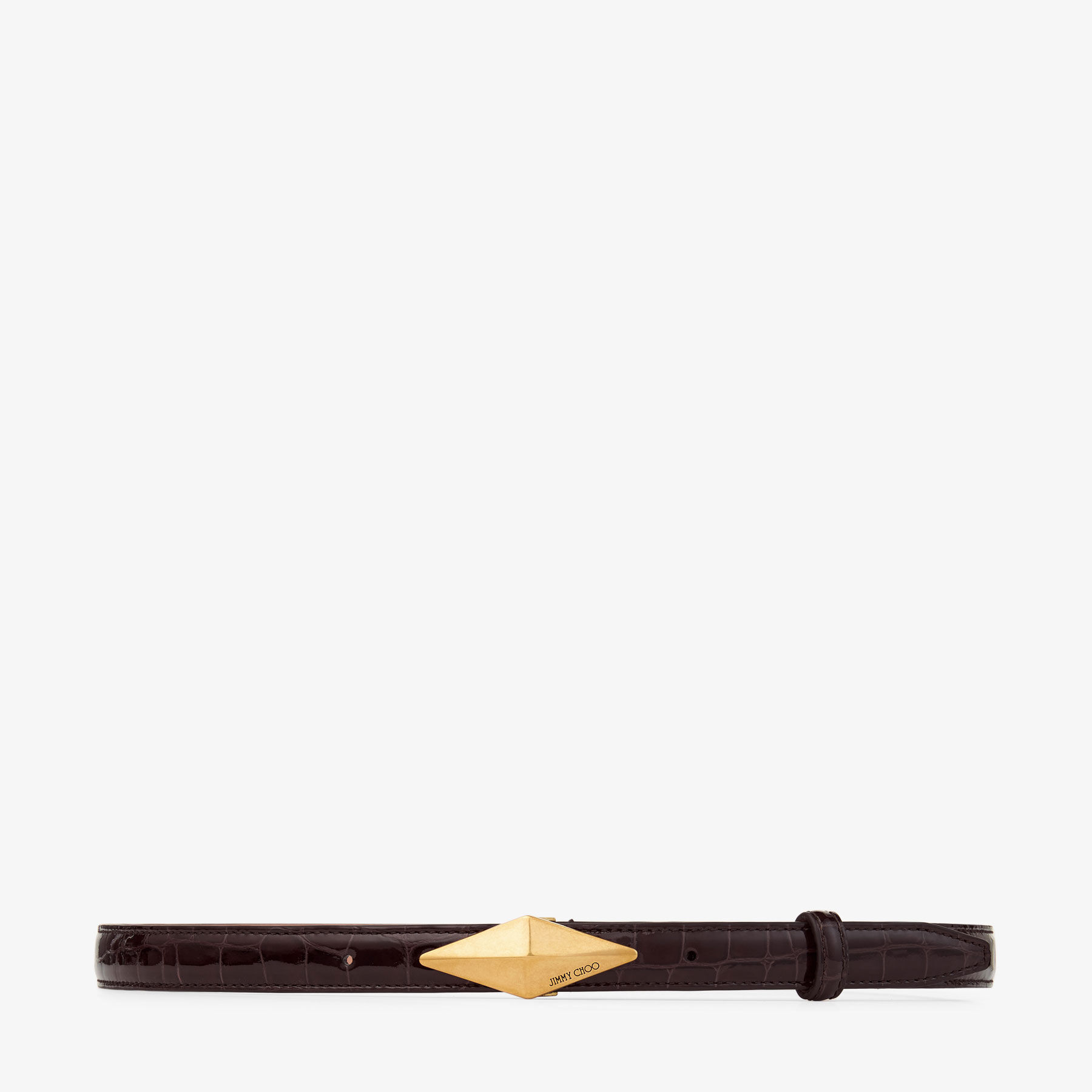Jimmy Choo Jewel Green Snakeskin Belt MINIHELINAMNA_008937_FRONT_vg9  main image 4